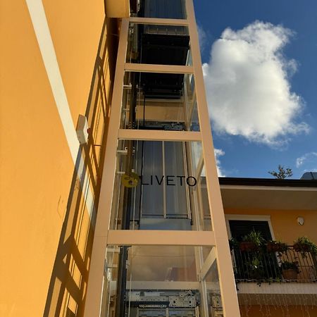 B&B Oliveto Caserta Zewnętrze zdjęcie